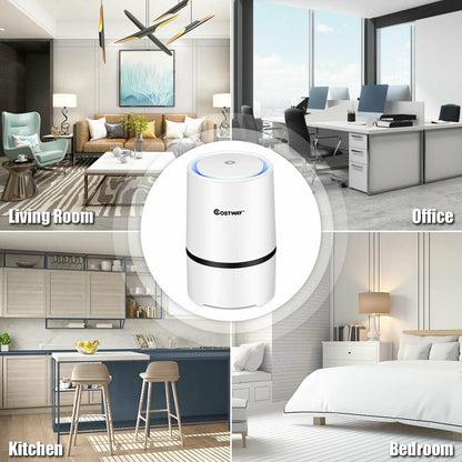 Mini Ionic 3-in-1 Composite HEPA Air Purifier